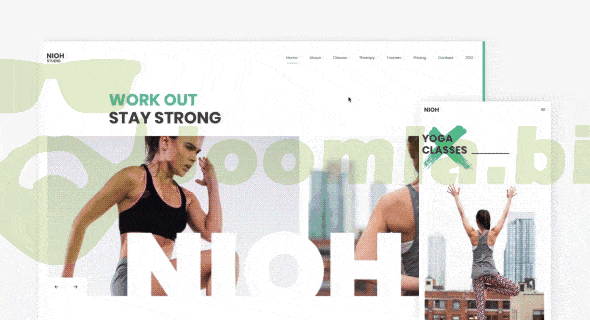 YOOtheme Nioh Studio - Health & Fitness