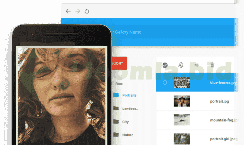 Joomla.bid