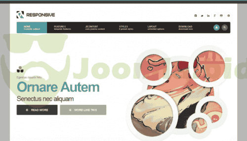 Joomla.bid