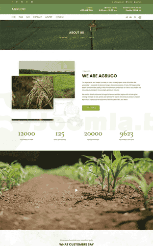 Joomla.bid