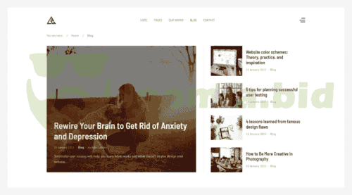 Joomla.bid