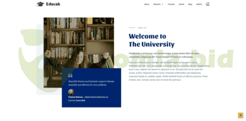 Joomla.bid