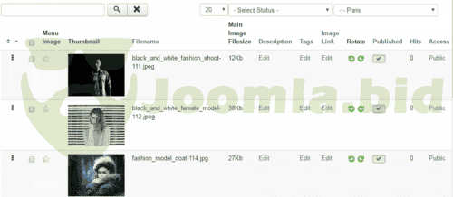 Joomla.bid