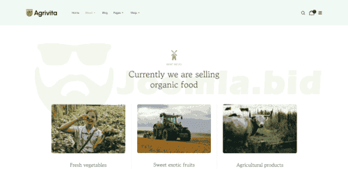 Joomla.bid