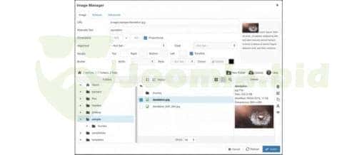 Joomla.bid