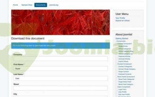 Joomla.bid