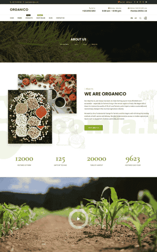 Joomla.bid