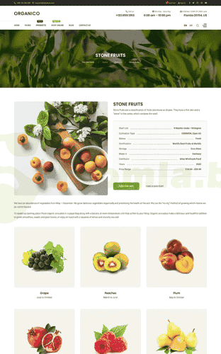Joomla.bid