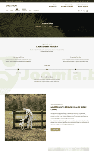 Joomla.bid