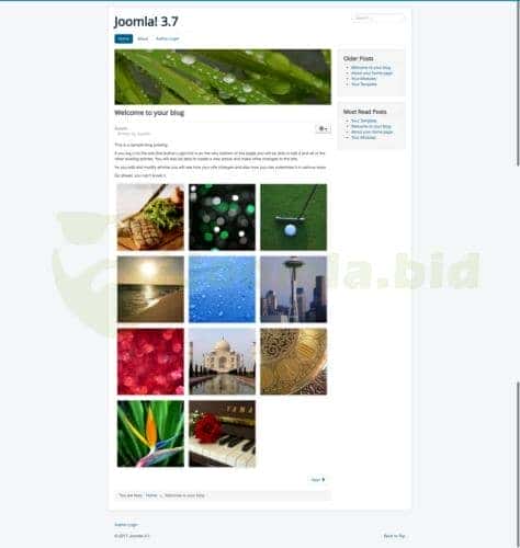 Joomla.bid
