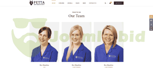 Joomla.bid