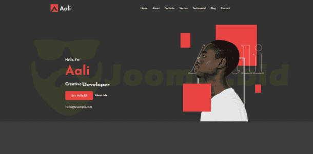 Aali - Personal Portfolio & Resume (ThemeForest)